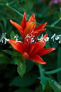 健康理疗馆经营范围（理疗养生馆经营范围有哪些）