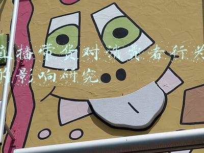 直播带货对消费者行为的影响研究