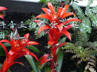 抖音直播带货营销的现状(抖音直播带货现状解析，现在做抖音还可以赚到钱吗？)