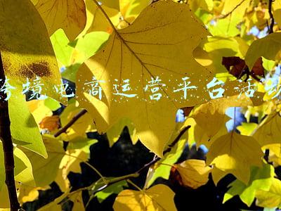 跨境电商运营平台活动