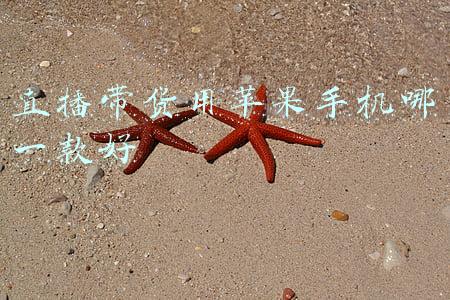 直播带货用苹果手机哪一款好
