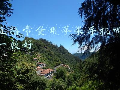 2020直播带货用什么手机效果好(直播带货高居手机行业TOP2，iQOO的粉丝运营为何那么强？)