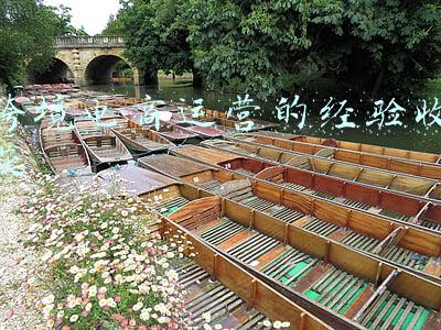 跨境电商运营的经验收获