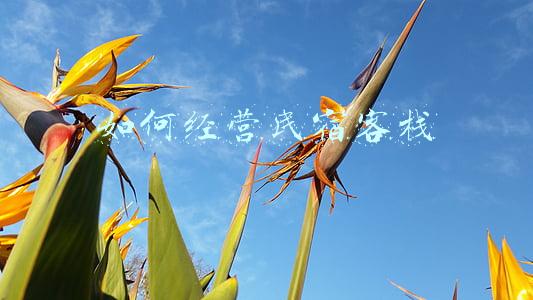 关于民宿的经营和操作；关于民宿的经营和操作的书籍