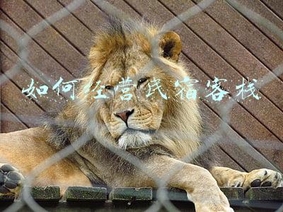 怎样经营民宿_如何经营民宿步骤