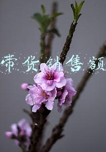 直播带货销售额图表