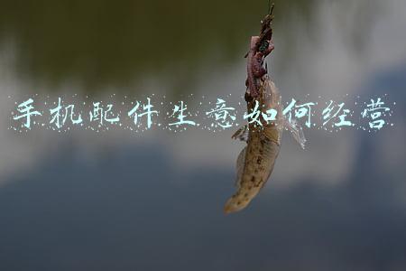 手机配件店怎么经营，手机配件店经营技巧