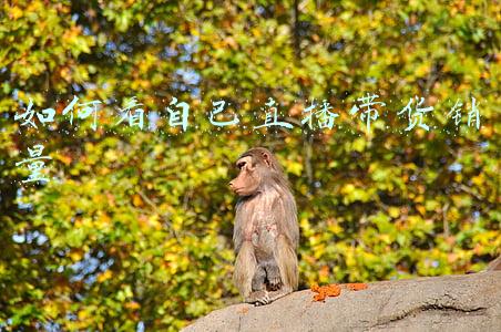 如何看自己脂肪肝(你的肝脏比你的身体更怕“胖”！三分钟让你认识脂肪肝！)