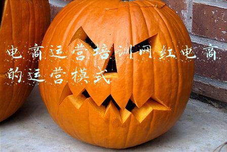 电商运营培训基地(南阳淘宝运营淘宝电商拼多多电商运营培训大旗职业技术培训学校)