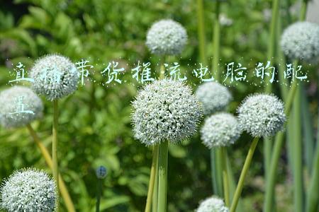 直播带货推流电脑的配置