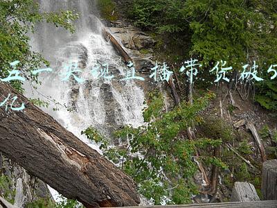 央视直播带货的意义(王重：央视都开始直播带货了，2022的直播带货是谁的天下)