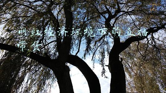 网红直播带货非常火热,有的可能赚上亿元(“网红奶奶”吸粉千万，直播带货变现模式能走多远？)