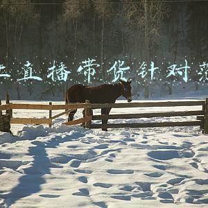 禁止李小璐和范冰冰直播卖货(范冰冰方回应被禁直播说了什么 背后实情曝光原来是这么回事)