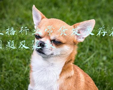 我国直播带货的发展状况、存在问题及优化路径(直播带货产业如何可持续健康发展？)