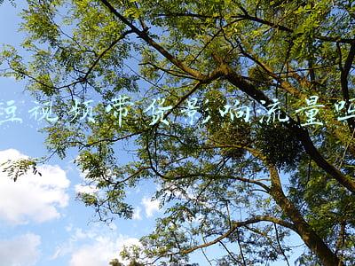 短视频带货需要什么条件(带货主播有国家职业标准了！明确要求“严控质量”)