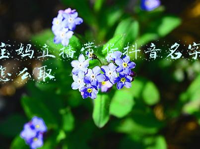 宝妈微信名字简单气质(宝妈被高端月子中心讽刺：没钱就没钱，装什么装？至今未收到道歉)