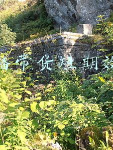 直播带货段子(央视Boys直播带货，神段子笑炸全网…朱广权和手语老师又相爱相杀)