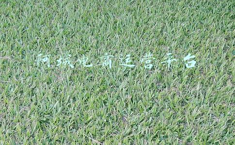 阿里巴巴电子商务平台(年度盘点之电商平台：新秩序来临，平台型电商往哪走？)