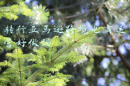 亚马逊跨境电商官网(亚马逊各站点详情介绍！等你来开启)