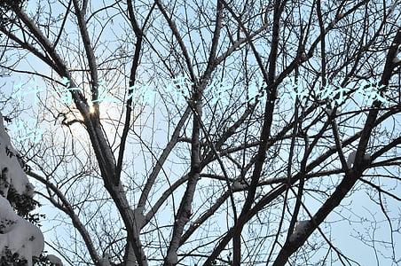 抖音直播带货脚本范文(电商主播培训学习资料脚本文案带货主播话术技巧抖音主播带货话术)