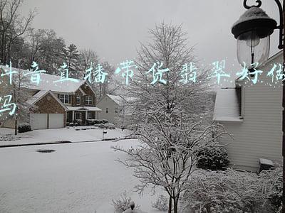 抖音直播带货运营方案(首次公开，史上最全——抖音运营带货方案，小白到大咖的逆袭之路)