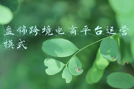 盘锦跨境电商平台运营模式