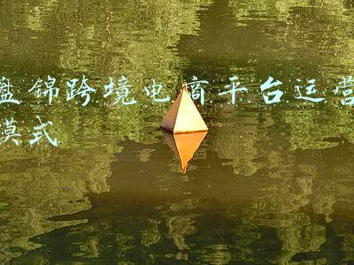 盘锦跨境电商平台运营模式