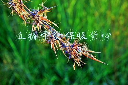 女士保暖背心(自发热的小背心，穿上像钻进“被窝”，保暖、显瘦、还时髦)