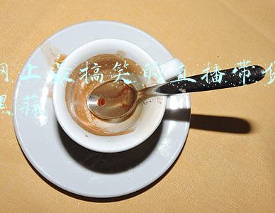 黑蒜视频搞笑(哈尔滨柴犬兄弟“英俊”“大蒜”，是安字片最靓的仔)