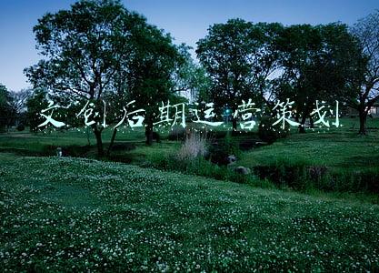 文创店运营管理方案(解析文化运营的模式)