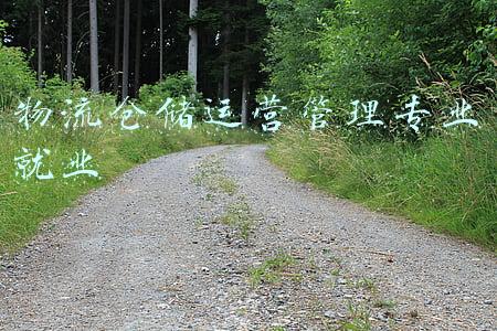 物流管理的就业(物流管理专业就业现状及国考情势分析)