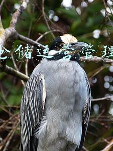 物流管理专业的就业岗位(物流管理专业：培养物流管理、规划、设计人才，三大就业方向分析)