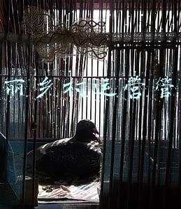 美丽乡村运营管理