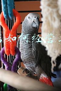 手机门店运营与管理，手机店如何经营与管理