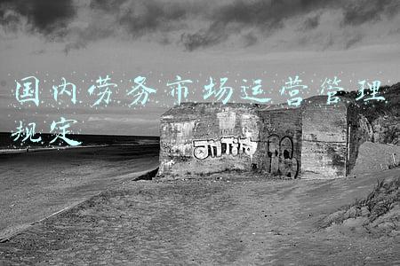 国内劳务市场运营管理规定