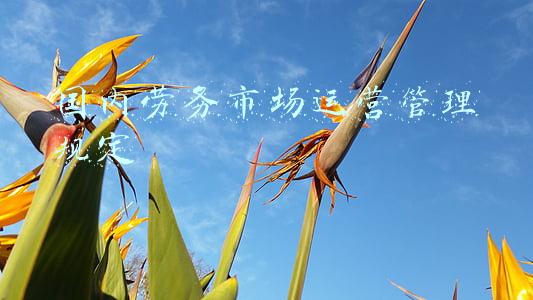 国内劳务派遣调研报告(揭秘劳务派遣市场现状：我看到了人性的阴暗与贪婪)