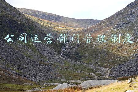 公司运营部门管理制度