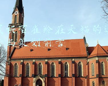 百雀羚(“90后”百雀羚向上而行)
