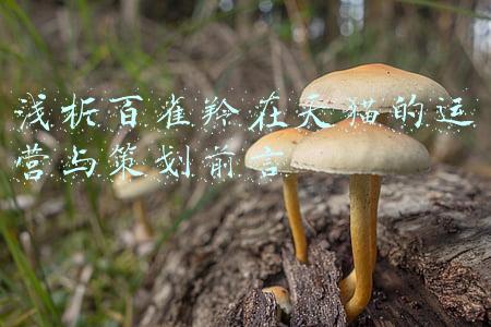 用百雀羚过敏(百雀羚凡士林保湿润肤霜可以擦脸吗 天朝“倩碧小黄油”一定要会用)