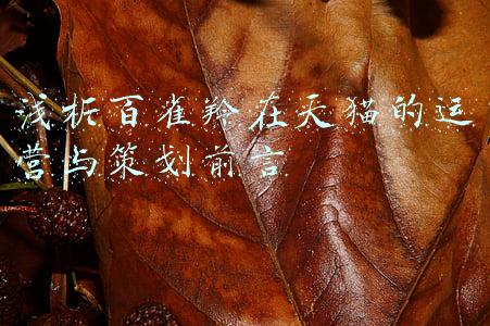 百雀羚天猫(认真的百雀羚赢了，天猫双十一连续4年国妆第一)