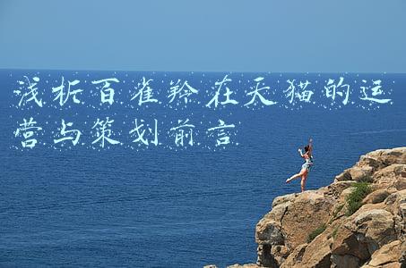 淘宝百雀羚(5月淘宝天猫热销榜：百雀羚神广告助力，MG小象夺全网女装第一)