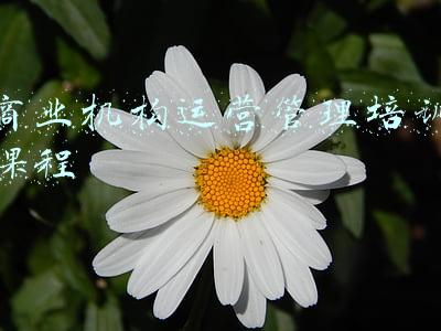 商业机构运营管理培训课程