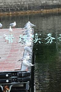 运营管理实务课程