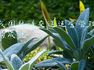 城市轨道交通运营管理的发展趋势是什么(2022年中国城市轨道交通投资市场现状及发展趋势分析)