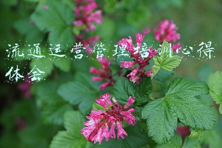 流通运营管理培训心得体会