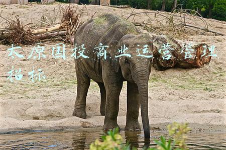 太原国投集团有限公司(太原国投集团向环卫工捐防霾口罩)