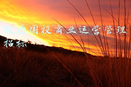 太原国投逍邦(太原市晋源区：进行“文明小区”授牌仪式)