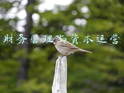 财务管理与资本运营方向(财务管理的基本内容，目标及原则，附上「财务管理系统」)