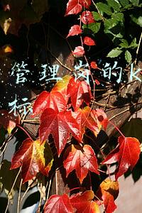 行政岗kpi(KPI关键绩效考核指标库)