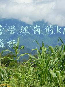 会计岗kpi(从会计到财务总监，完整一套企业财务部门KPI绩效考核指标大全)
